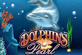 Dolphins Pearl